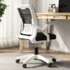 Ergonomic Mesh Office Chair