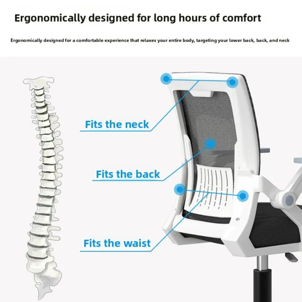 Ergonomic Mesh Office Chair