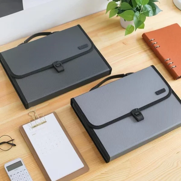 my-11134207-7r98s-lxhzwenwvaeifb Expandable Document Organizer File Folder