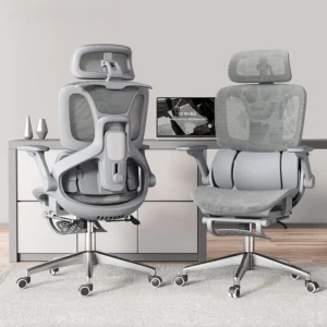 Premium Ergonomic Office Chair With Lumbar Support