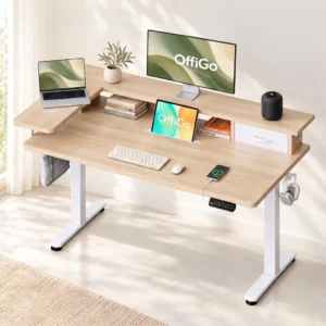 Modern Computer Desk with Monitor Stand